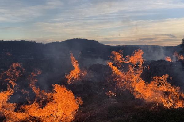 THE MISSION BEHIND THE COSUMNES RIVER PBA